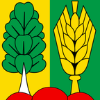 Municipal flag: Müntschemier