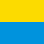Municipal flag: Muzzano