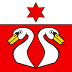Municipal flag: Niederhünigen