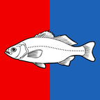 Municipal flag: Nyon