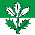 Municipal flag: Oberbalm