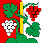 Gemeindeflagge: Oberhofen am Thunersee