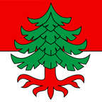 Municipal flag: Ochlenberg
