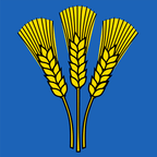 Municipal flag: Orges