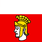 Municipal flag: Poliez-Pittet