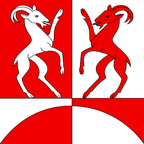 Municipal flag: Ponte Capriasca