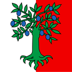 Municipal flag: Premier