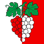 Municipal flag: Pully