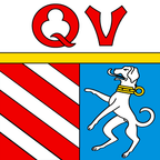 Municipal flag: Quinto