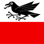 Municipal flag: Rapperswil (BE)