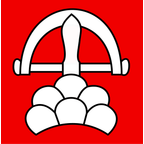 Municipal flag: Ringgenberg (BE)