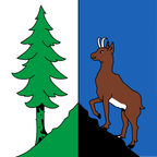 Municipal flag: Roche (VD)