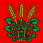 Municipal flag: Roggwil (BE)