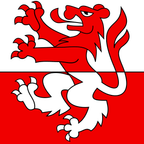 Municipal flag: Rüderswil