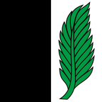 Municipal flag: Rüti bei Lyssach