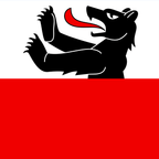 Municipal flag: Rütschelen