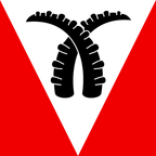 Municipal flag: Saxeten