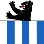 Municipal flag: Sergey