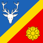 Municipal flag: Servion