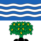Municipal flag: Tannay