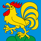 Municipal flag: Tavannes