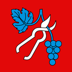 Municipal flag: Tenero-Contra