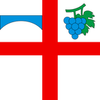 Municipal flag: Terre di Pedemonte