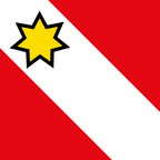 Municipal flag: Thun