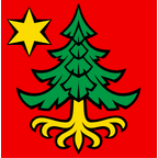Municipal flag: Trachselwald