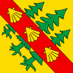 Municipal flag: Treycovagnes