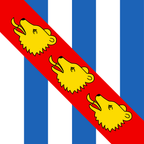 Municipal flag: Ursins