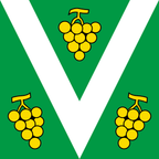 Municipal flag: Vacallo
