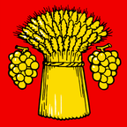 Municipal flag: Vich