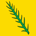 Municipal flag: Villars-Epeney