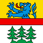 Municipal flag: Wald (BE)