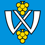 Municipal flag: Walperswil