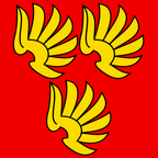 Municipal flag: Wattenwil