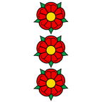 Municipal flag: Wengi