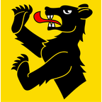 Municipal flag: Zweisimmen